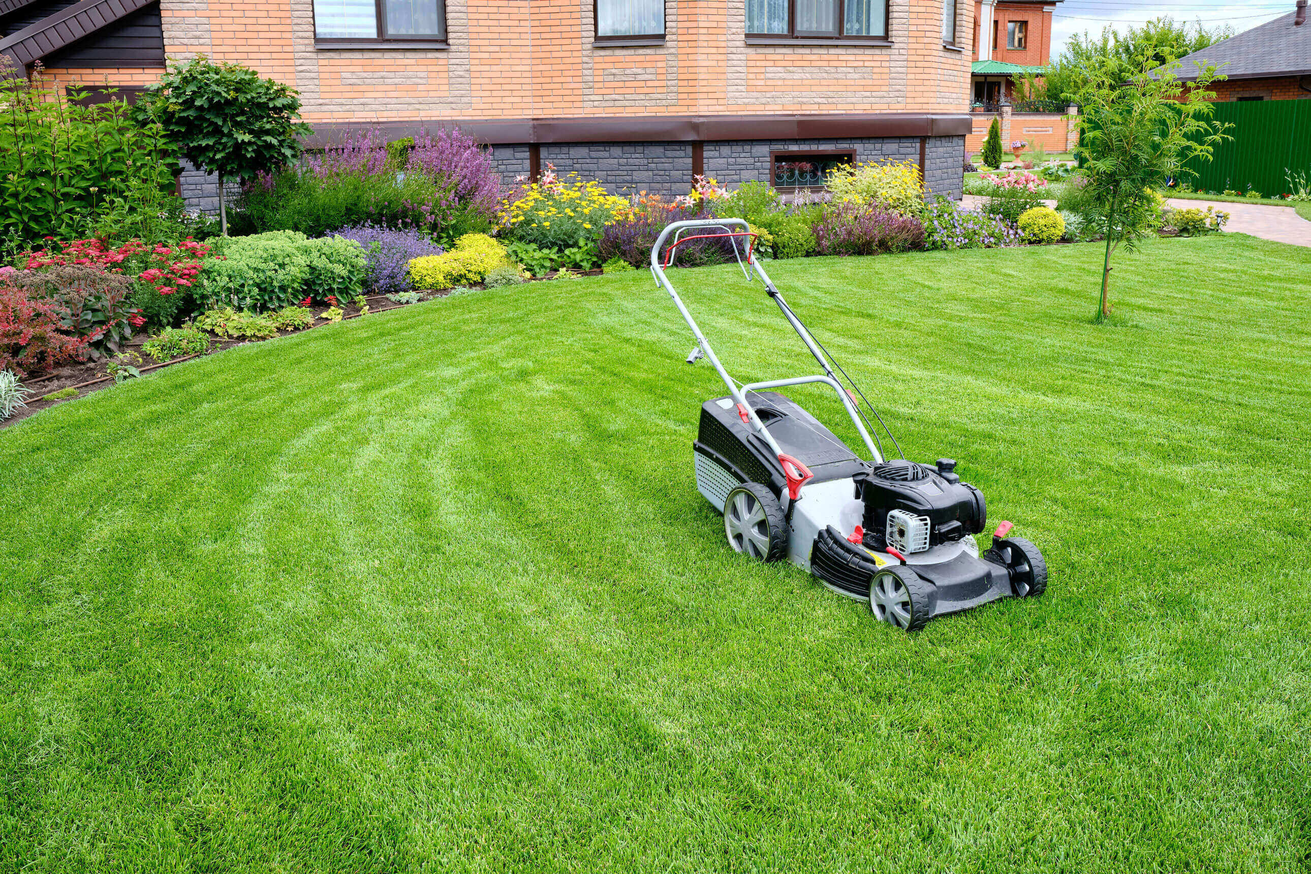 Lawn care services